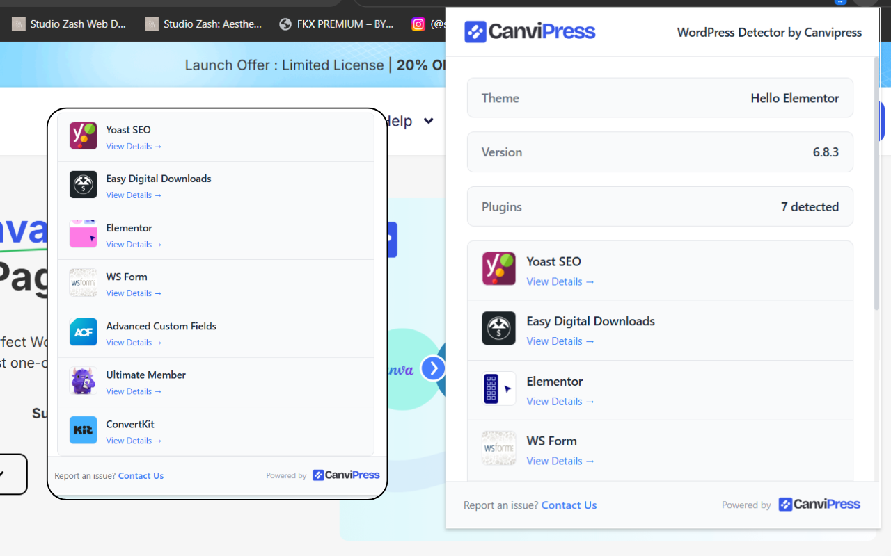 WordPress theme + plugin detector extension preview